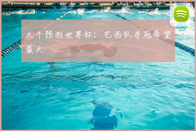 大牛预测世界杯：巴西队夺冠希望最大