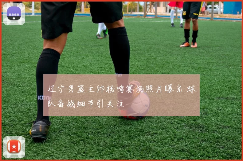 辽宁男篮主帅杨鸣赛场照片曝光 球队备战细节引关注