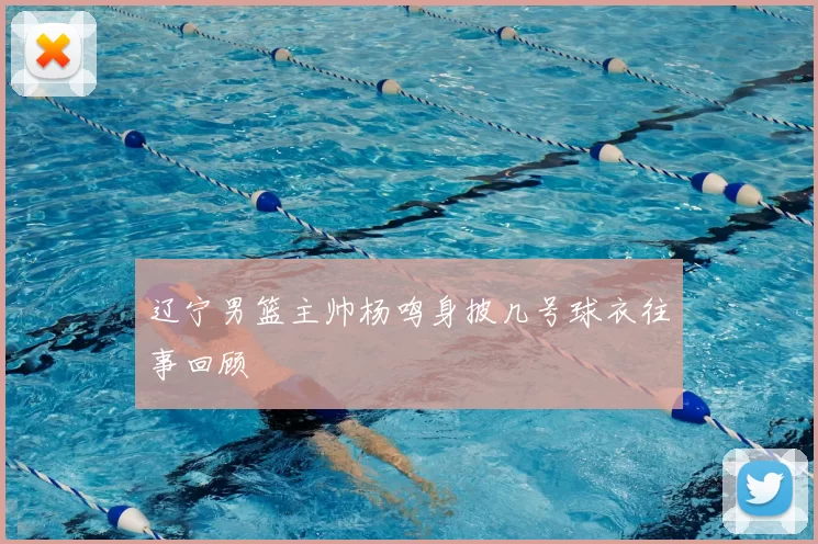 辽宁男篮主帅杨鸣身披几号球衣往事回顾