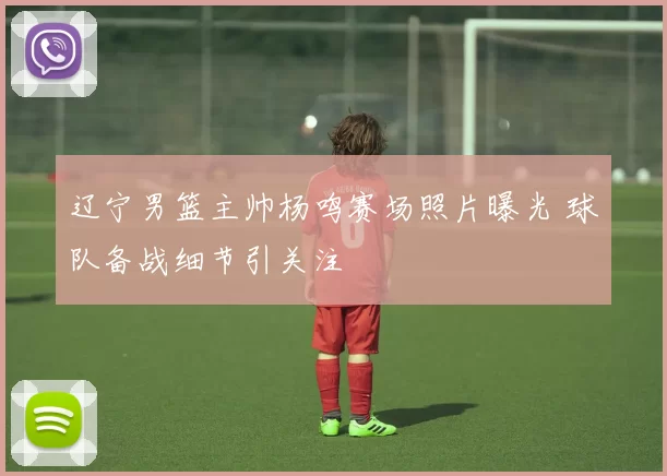 辽宁男篮主帅杨鸣赛场照片曝光 球队备战细节引关注