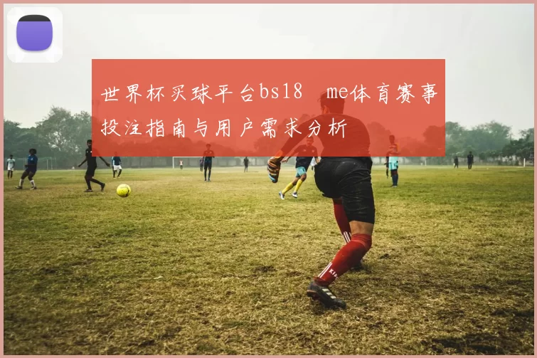 世界杯买球平台bs18婰me体育赛事投注指南与用户需求分析