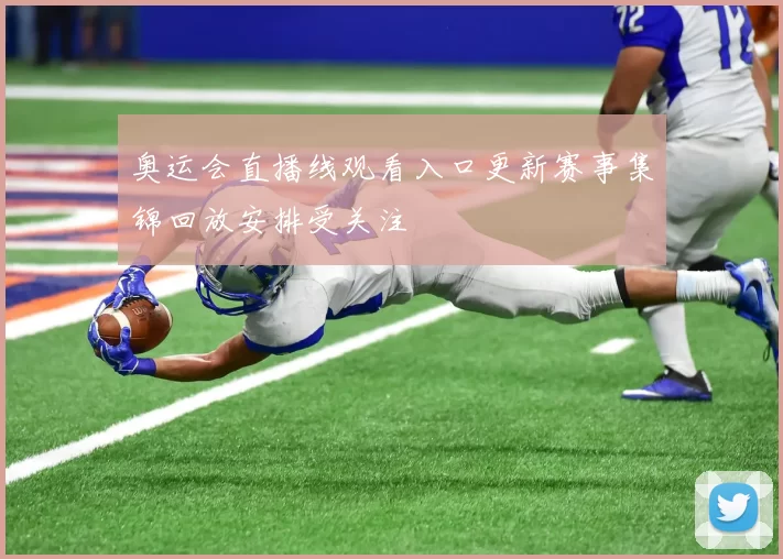 奥运会直播线观看入口更新赛事集锦回放安排受关注